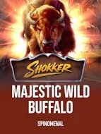Majestic Wild Buffalo