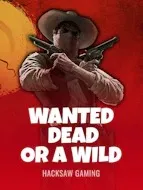 Wanted Dead Or A Wild