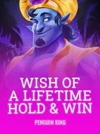 Wish Of A Lifetime